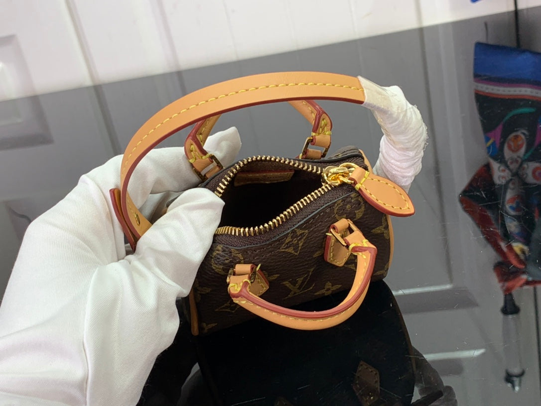 Louis Vuitton LV Micro Speedy Bag